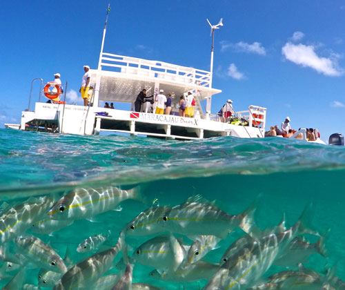 Maracajaú com Catamarã